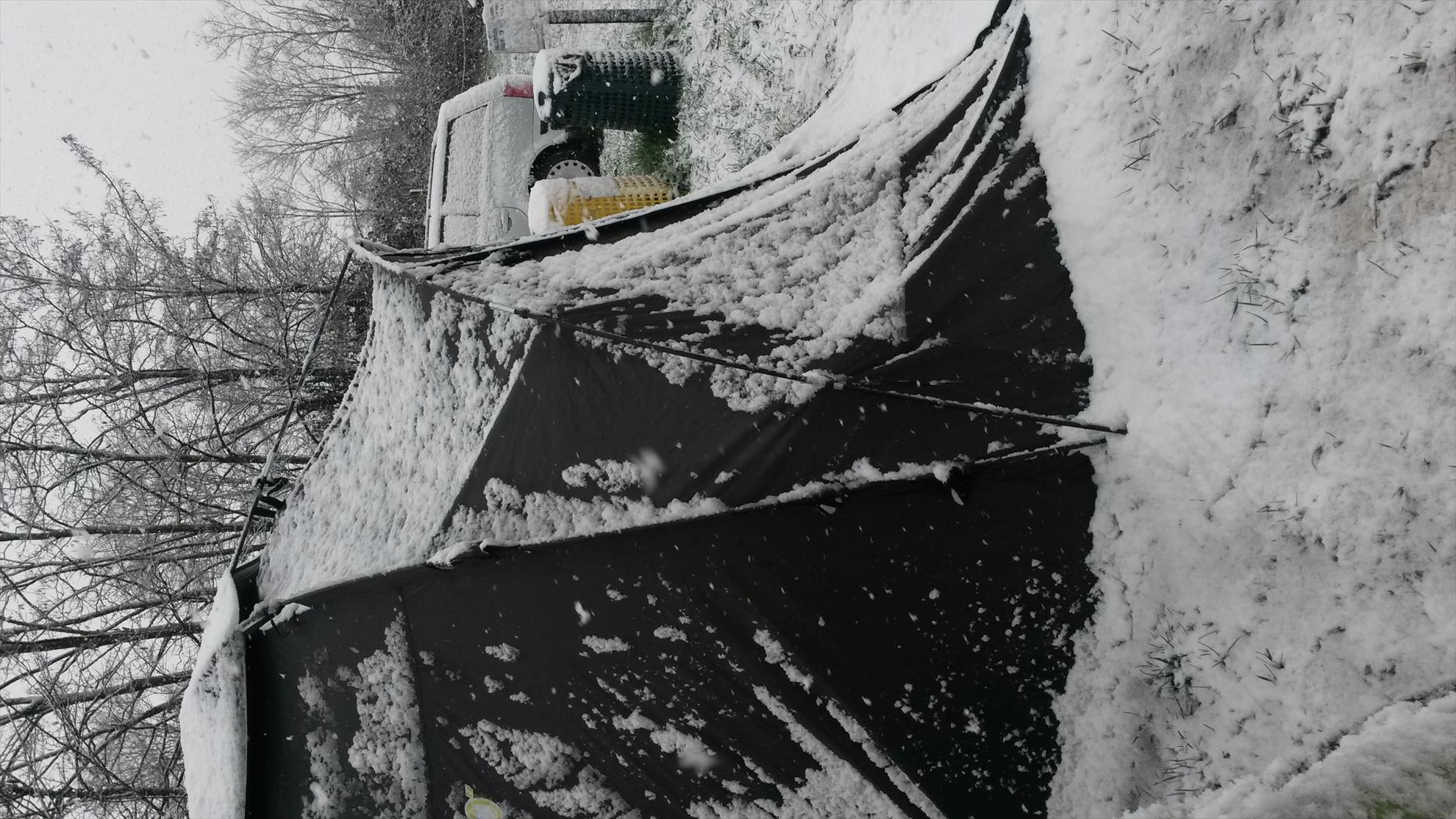 SALASCO 4 - 6 martie 2016 - img-20160305-wa0029.jpeg